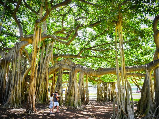 ハワイ　家族写真　ご希望に応じて撮影ロケーションを決定 ！ 出張撮影＜ワイキキ市内／ビーチ・公園・街中など＞