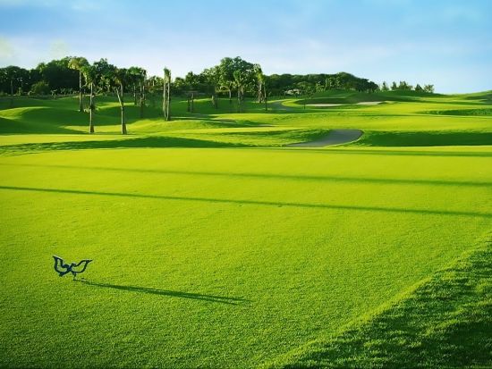 ツインダボス・ゴルフクラブ　ゴルフ場予約＜日本語ガイド／送迎あり＞