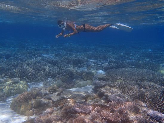 カヤック＆シュノーケル　ネイチャーガイド行くロックアイランド1日観光 ＜昼食付／送迎付き＞ by Rock Island Tour Company