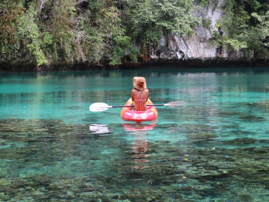 カヤック＆シュノーケル　ネイチャーガイド行くロックアイランド1日観光 ＜昼食付／送迎付き＞ by Rock Island Tour Company
