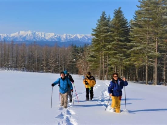 富良野 スノーシュートレッキング 自然のままの新雪の上を楽しく歩こう！選べる午前・午後発 ＜12～3月／富良野市＞byレジャーガイド遊び屋