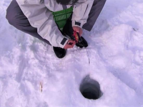 かなやま湖ワカサギ釣り 釣れたワカサギは調理OK！脂が乗った冬のワカサギは最高！＜1～3月／午前or午後／富良野＞byレジャーガイド遊び屋