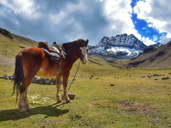 虹色に染まる奇跡の山！絶景レインボーマウンテン 日帰りツアー＜1日／英語ガイド／朝＆昼食付／クスコ発＞