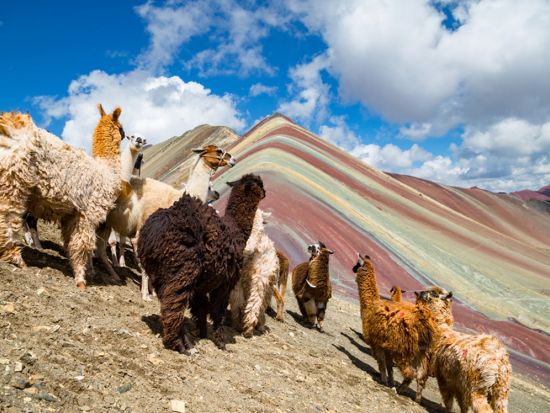 虹色に染まる奇跡の山！絶景レインボーマウンテン 日帰りツアー＜1日／英語ガイド／朝＆昼食付／クスコ発＞