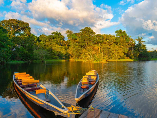 まずはここから アマゾン川の動物たちに会える宿泊付ツアー マナウス アマゾン 観光 オプショナルツアー予約専門 Veltra