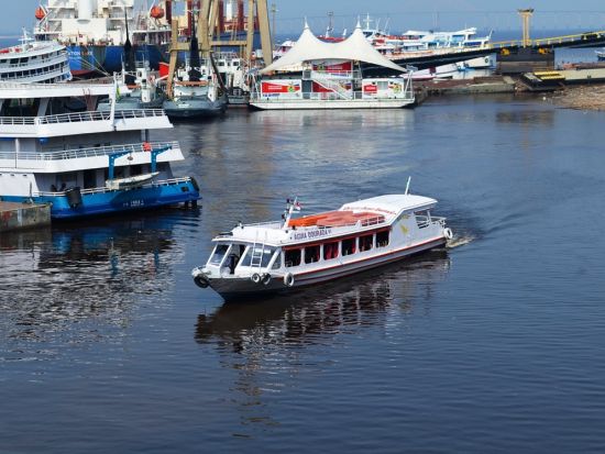 秘境・アマゾンに迫る 1泊2日ジャングル探検ツアー*ジャングルロッジ泊＜混載／朝食／昼食／夕食／英語ガイド／空港お送り可／マナウス発＞