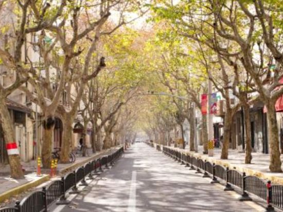 話題のレンタルサイクルに乗ろう！上海市内終日観光＆変面ショー＜日本語ガイド／昼＆夕食付／上海発＞