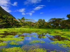 IMG_E9095