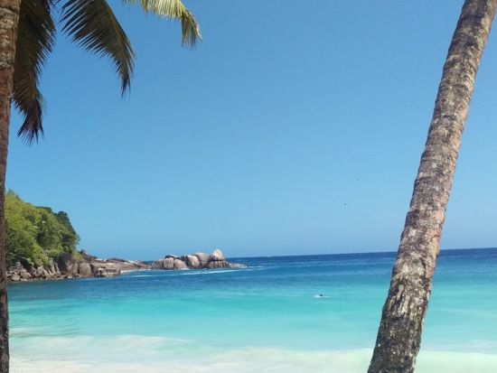 インド洋の宝石セーシェル！マヘ島ディスカバリー☆半日観光ツアー＜英語ガイド／混載／マヘ島発＞