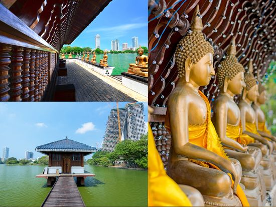 shutterstock_763455361gggerer