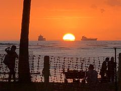 IMG_0990