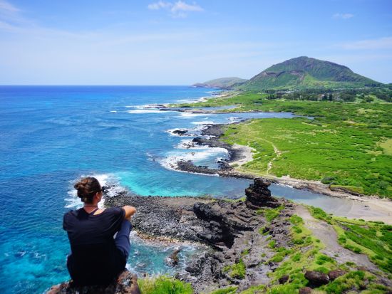 オアフ島1日周遊観光　この木なんの木やドールプランテーション、ハレイワタウンなど名所を効率良く巡る！ガーリックシュリンプのランチ付き（混載プランのみ）