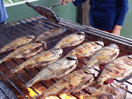 秘境・アマゾンに迫る 1泊2日ジャングル探検ツアー*ジャングルロッジ泊＜混載／朝食／昼食／夕食／英語ガイド／空港お送り可／マナウス発＞