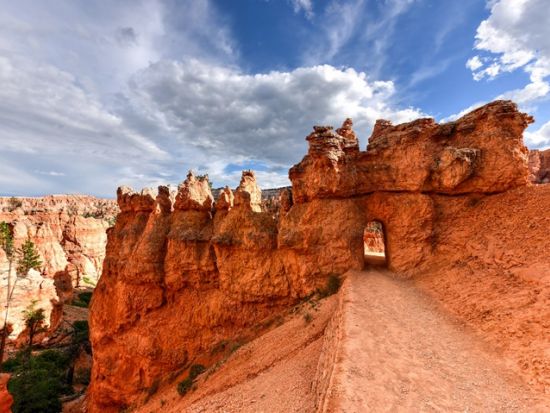 グランドサークル3泊4日ツアー　グランドキャニオン＆アンテロープ＆ブライスキャニオン＆ザイオン ＜4～8月／1名から催行／日本語アシスタント／ロサンゼルス発＞