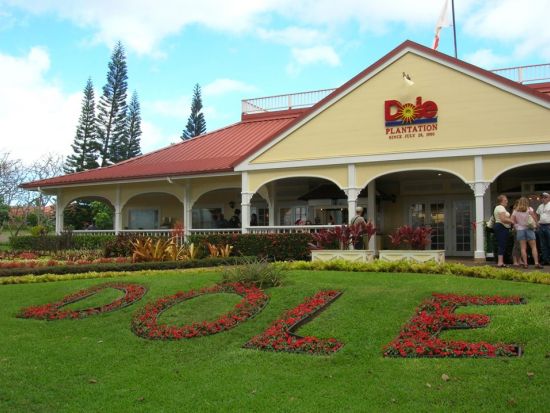 オアフ島1日観光　ノースショア（ハレイワ）観光とワイケレアウトレット　ジョバンニのガーリックシュリンプ付きB級グルメツアー