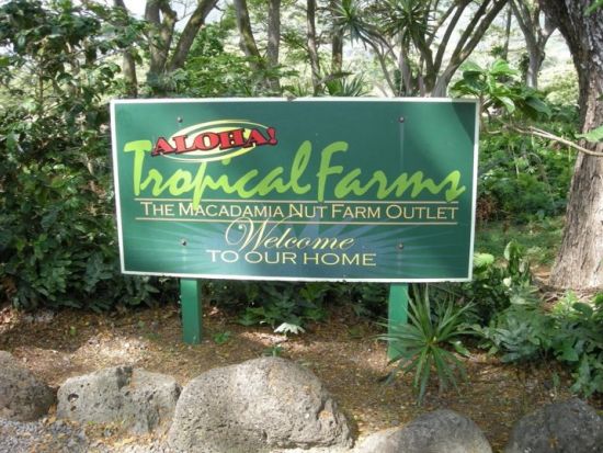 オアフ島1日観光　ノースショア（ハレイワ）観光とワイケレアウトレット　ジョバンニのガーリックシュリンプ付きB級グルメツアー