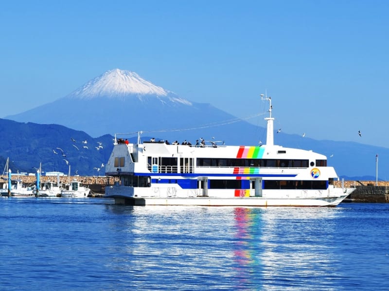 Mt. Fuji mini cruise from Shimizu Port