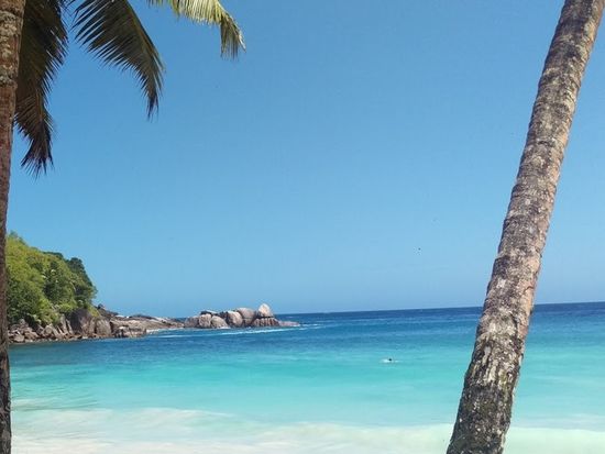 Seychells beach