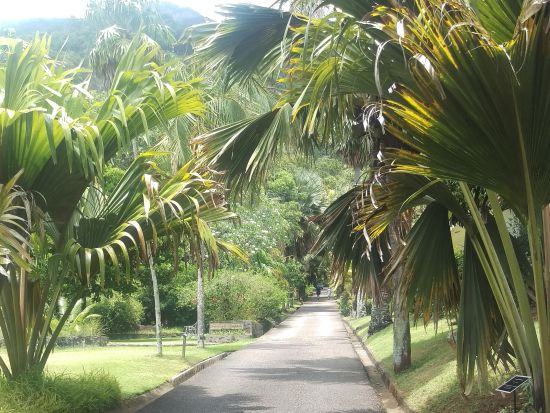【空港送迎】セーシェル国際空港⇔マヘ島ホテル 送迎サービス＜英語ドライバー／混載＞