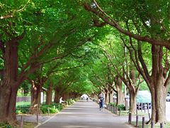 君の名は65_09
