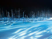 Hokkaido_Biei_Blue_Pond_Frozen_light_up_shutterstock_590254367