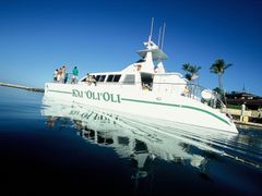 OCEAN JOY CRUISES - 043