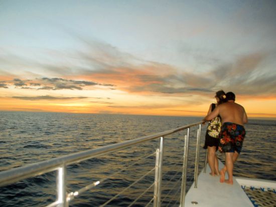 サンセットシュノーケリング・クルーズ　ハワイアンディナー＆アルコール4杯付き＜ワイキキ地区ホテル送迎あり／英語スタッフ／コオリナ発＞