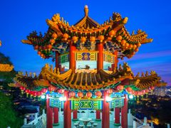 shutterstock_1132030964