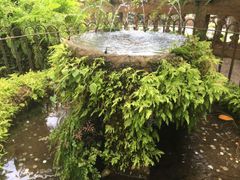 願掛けの泉