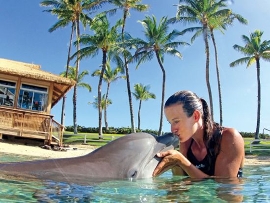 ドルフィン・クエスト　イルカと触れ合えるプログラムが充実！キッズ向けプログラム＜ヒルトン・ワイコロア・ビレッジ内＞