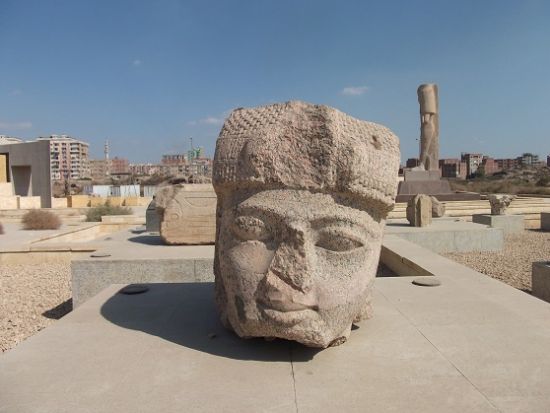 【混載】遺跡を深堀◎テル・バスタ（ブバスティス）＋サーン・イル・ハガル終日観光　*カルトゥーシュ事前注文可　＜終日／日本語／送迎付／チップ込／カイロ発＞