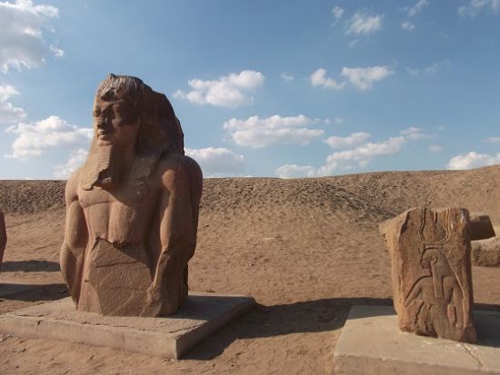 【混載】遺跡を深堀◎テル・バスタ（ブバスティス）＋サーン・イル・ハガル終日観光　*カルトゥーシュ事前注文可　＜終日／日本語／送迎付／チップ込／カイロ発＞