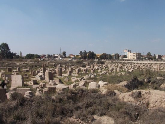 【混載】遺跡を深堀◎テル・バスタ（ブバスティス）＋サーン・イル・ハガル終日観光　*カルトゥーシュ事前注文可　＜終日／日本語／送迎付／チップ込／カイロ発＞