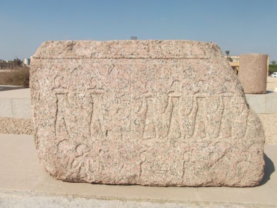 【混載】遺跡を深堀◎テル・バスタ（ブバスティス）＋サーン・イル・ハガル終日観光　*カルトゥーシュ事前注文可　＜終日／日本語／送迎付／チップ込／カイロ発＞