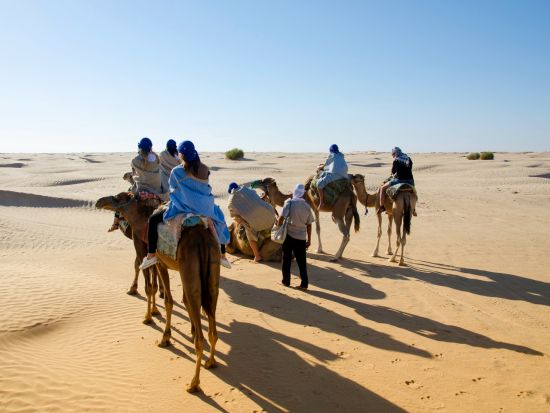 贅沢チュニジア 5泊6日周遊ツアー　古代遺跡から魅惑のサハラ砂漠体験もあり ＜貸切／日本語または英語ガイド／食事付き／チュニス発シディ・ブ・サイド着＞