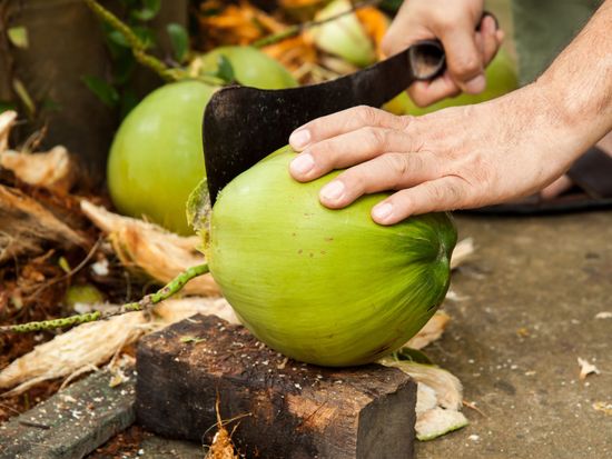 shutterstock_302025695