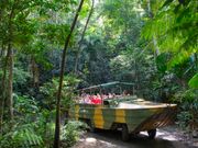 Rainforestation Army Duck ride