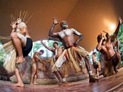 Rainforestation Pamagirri aboriginal dance