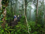 Skyrail rainforest boardwalk