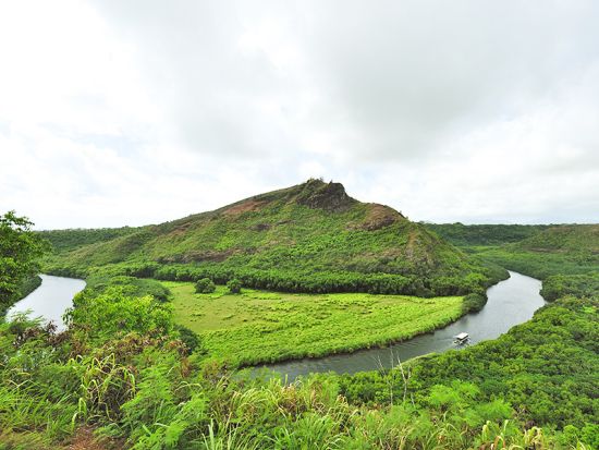【クルーズ船ご利用の方限定】カウアイ島探索ツアー　ワイメア渓谷+ワイルア川クルーズ+オパエカア滝など選べる5つのプラン＜英語ガイド／ナウィリウィリ港発＞