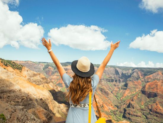 カウアイ島日帰りツアー　ワイメア渓谷＆シダ洞窟へ行くワイルア川クルーズ ＜英語ガイド＞ 