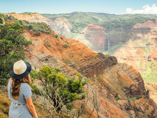 カウアイ島1日ツアー　ワイメアキャニオン観光＆コケエ州立公園ハイキング＆コーヒー農園 ＜英語ドライバーガイド＞