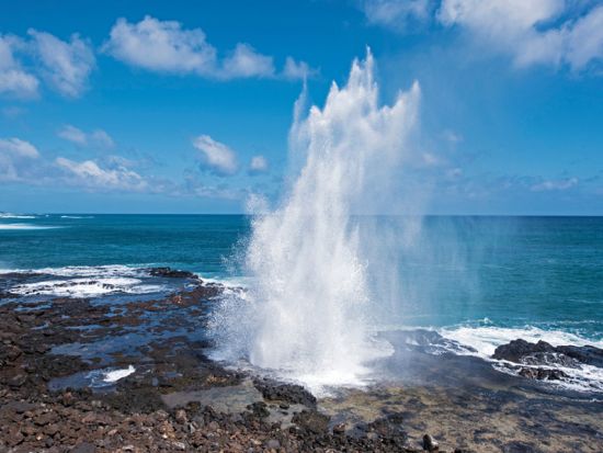 カウアイ島日帰りツアー　ワイメア渓谷観光＆コケエ州立公園ハイキング＆コーヒー農園訪問 ＜英語ガイド＞