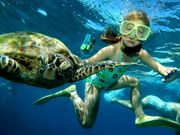sunlover reef cruises girl swimming with turtle