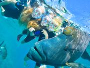 sunlover reef cruises little girls snorkeling
