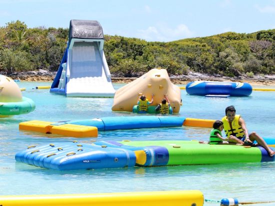 ブルーラグーンアイランド日帰りツアー　バハマの楽園でリゾート気分を満喫！＜昼食付き／パラダイスアイランド発＞