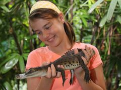 girl holding baby crocodile wildlife habitat