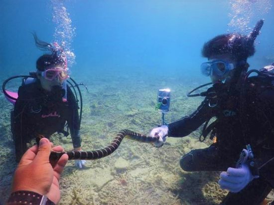 体験ダイビング　1グループのみの少人数制！ダイブスポットまでは船で約15分で移動時間も短縮＜11～4月／ボート／1ダイブ＞by やまんぐぅ～