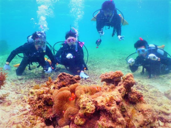 体験ダイビング　1グループのみの少人数制！ダイブスポットまでは船で約15分で移動時間も短縮＜11～4月／ボート／1ダイブ＞by やまんぐぅ～