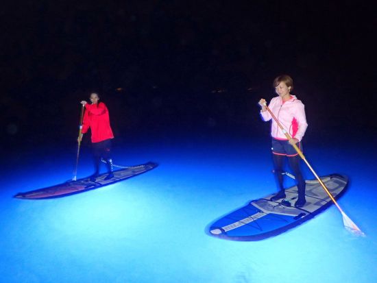 イルミネーションナイトSUP　LEDで光り輝くボードでサンセット＆夜の海をクルージング＜1グループ貸切／石垣島＞by にじいろのさかな